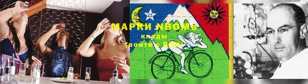 МДПВ Бородино