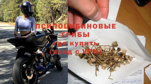 МДПВ Бородино