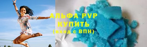 МДПВ Бородино