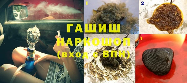 МДПВ Бородино
