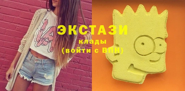 МДПВ Бородино